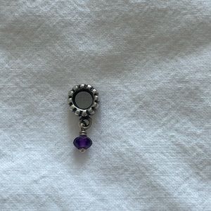 061. Pandora charm